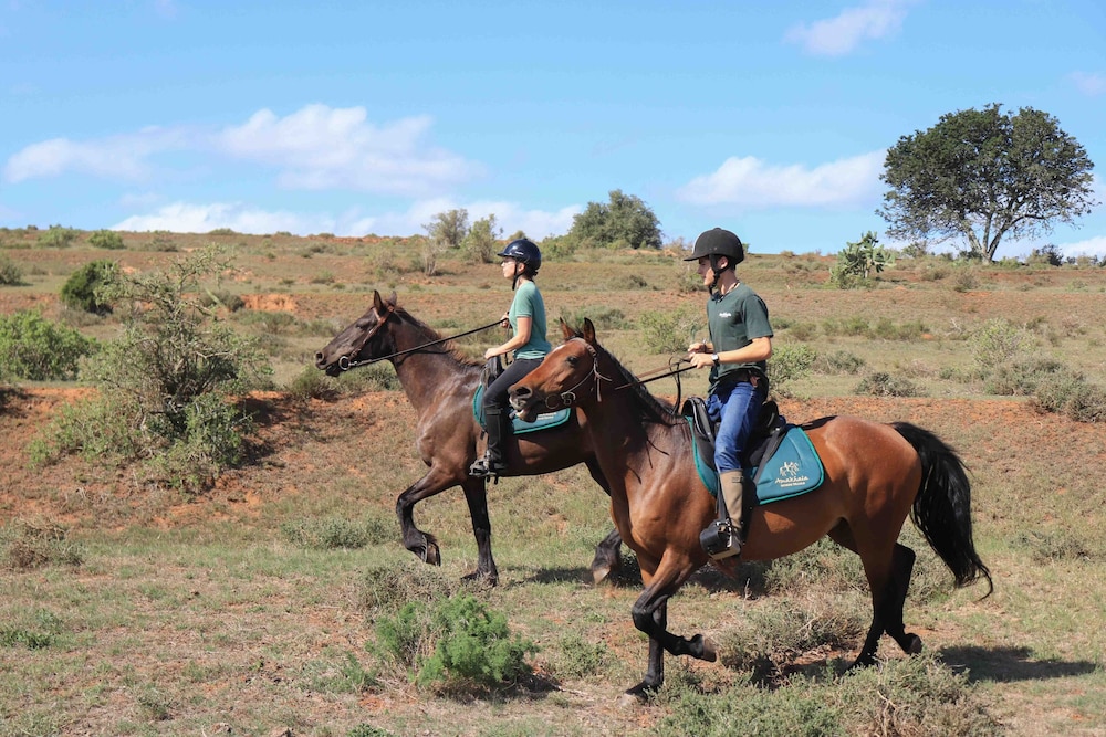 woodbury tented camp amakhala game reserve