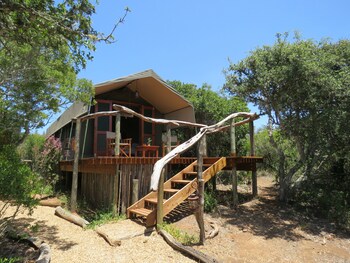 woodbury tented camp amakhala game reserve