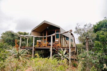 woodbury tented camp amakhala game reserve