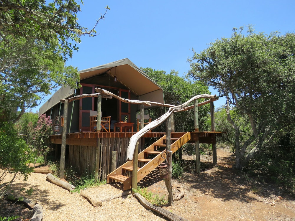 woodbury tented camp amakhala game reserve