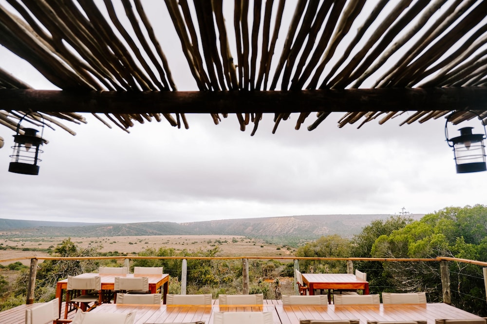 woodbury tented camp amakhala game reserve