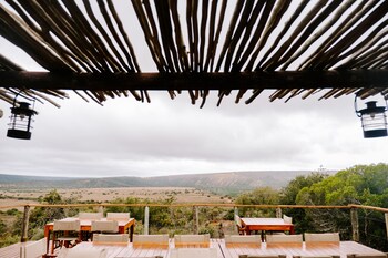 woodbury tented camp amakhala game reserve