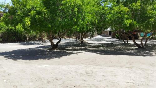 room in bandb mida creek eco camp lodge