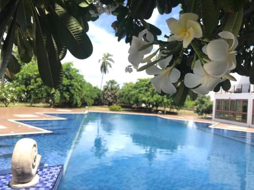 capital wind kalpitiya wind beach