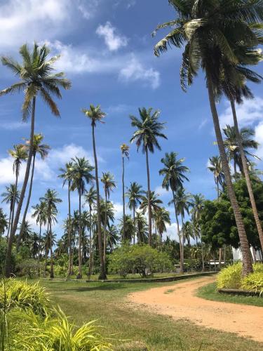 capital wind kalpitiya wind beach