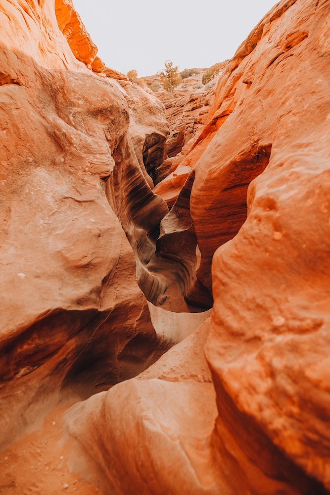 wander camp bryce canyon escalante