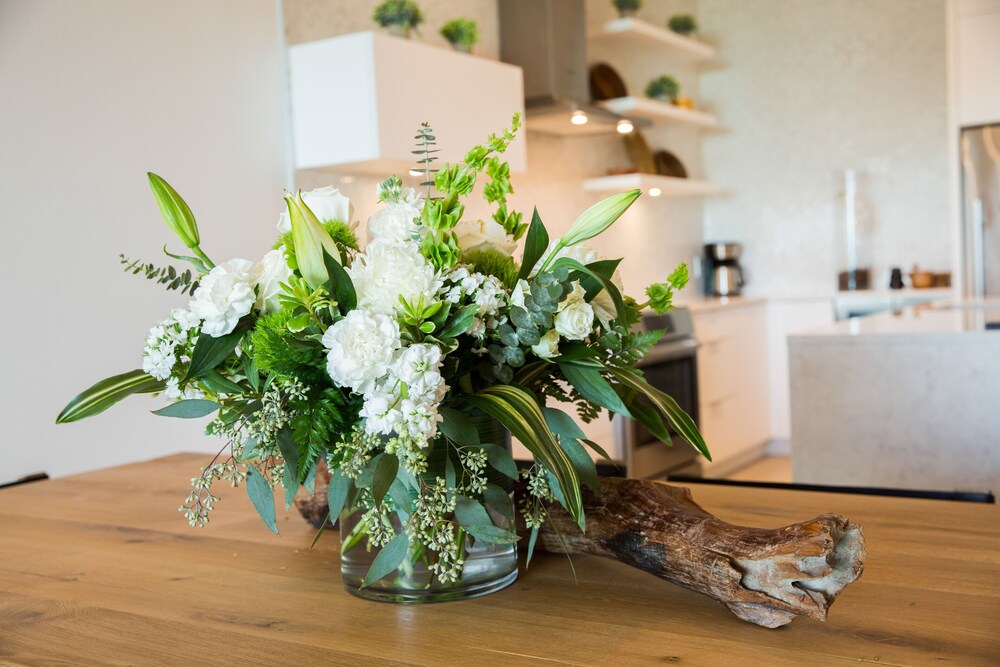 h2o lifestyle resort