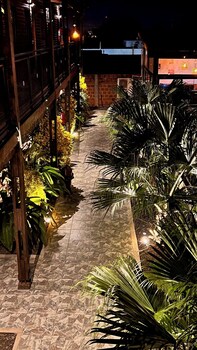 alma pura