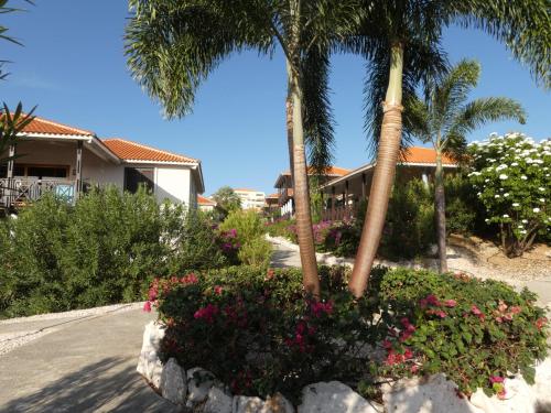 blue bay villa bon bini