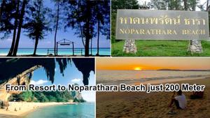 mild garden view resort