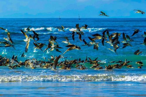 aparthotel casa soleil