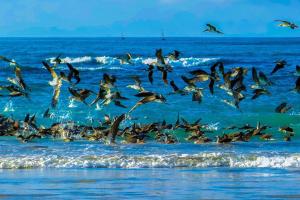 aparthotel casa soleil