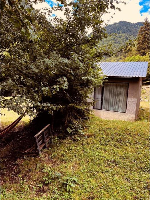 cozy house in the forest