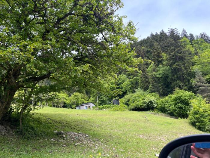 cozy house in the forest