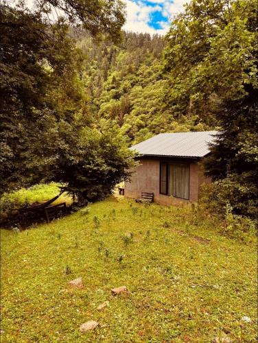 cozy house in the forest