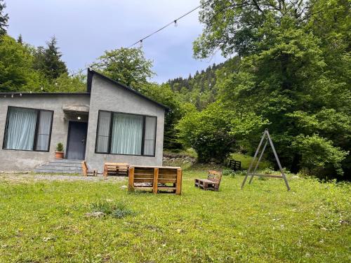 cozy house in the forest