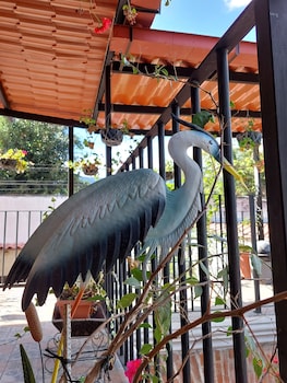 hotel nolasco