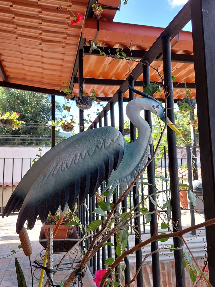 hotel nolasco