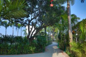 the neeraj river forest resort