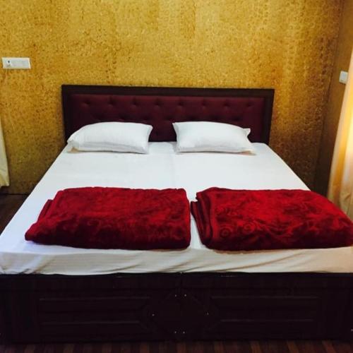 golden valley cottages chail