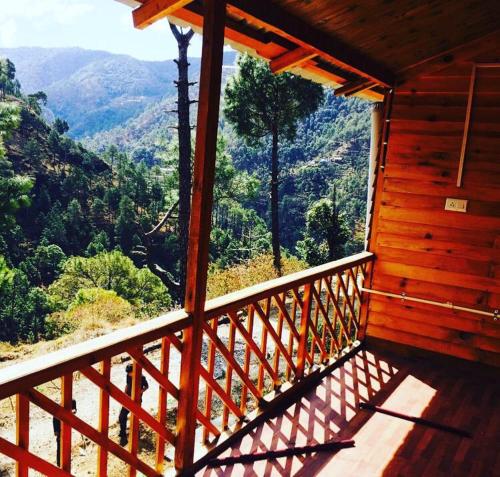 golden valley cottages chail