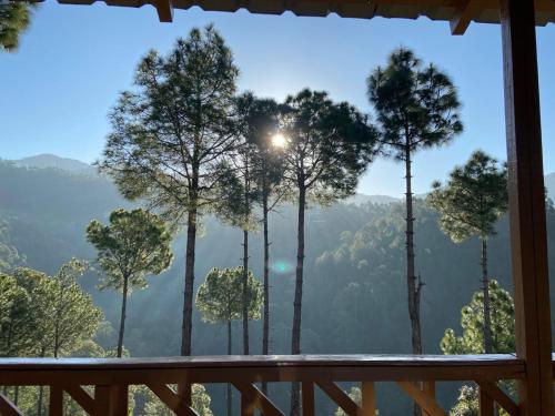 golden valley cottages chail