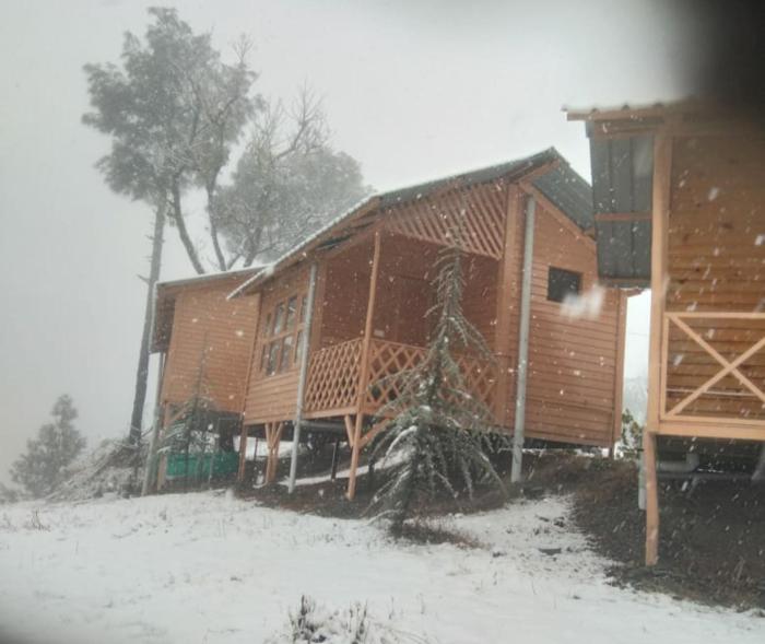 golden valley cottages chail
