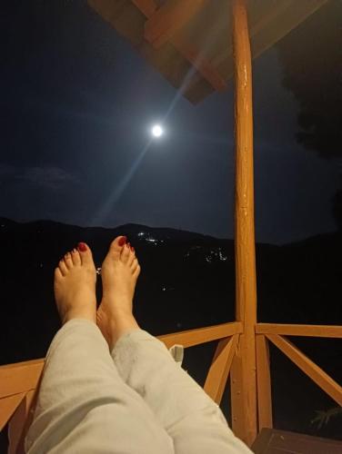 golden valley cottages chail