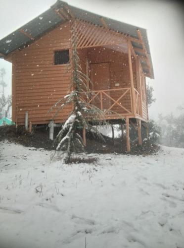 golden valley cottages chail