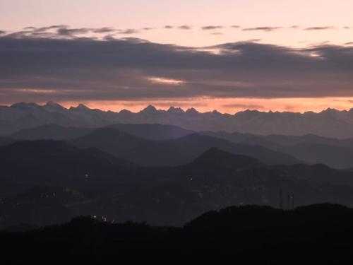 golden valley cottages chail