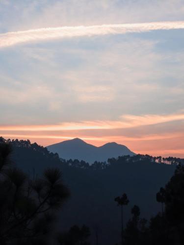 golden valley cottages chail