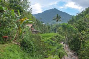 yeh baat jatiluwih by the lavana