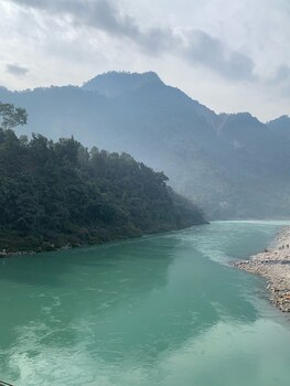 golden healing journeys homestay