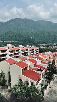 golden healing journeys homestay