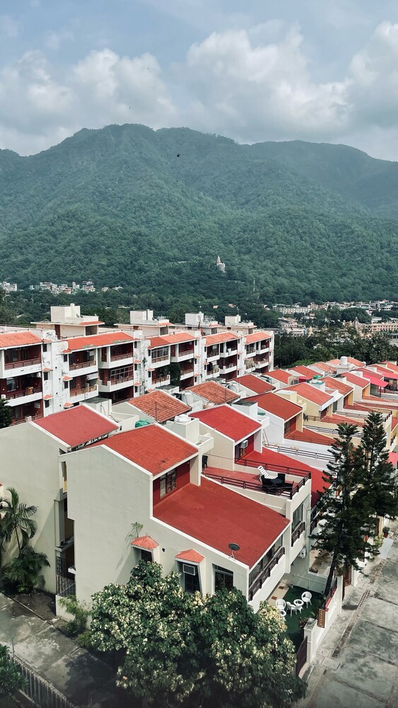 golden healing journeys homestay