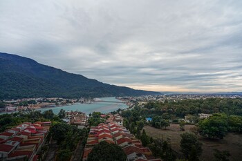 golden healing journeys homestay