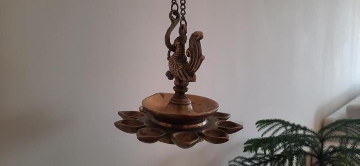 golden healing journeys homestay