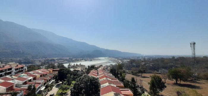 golden healing journeys homestay