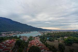 golden healing journeys homestay