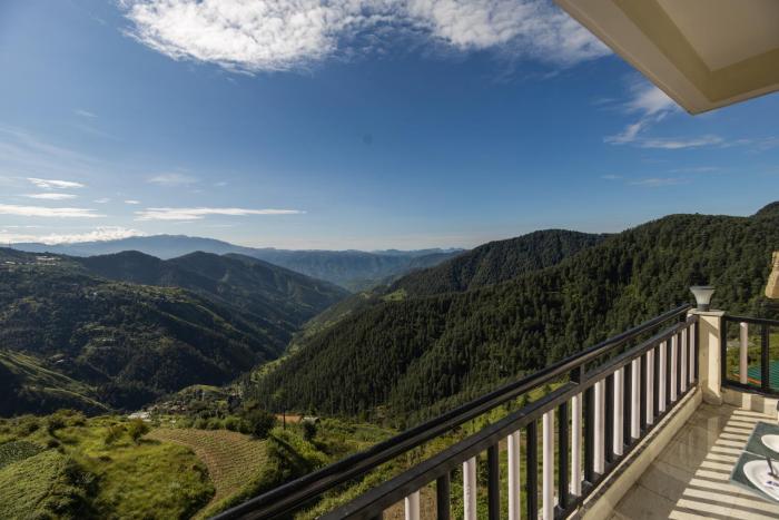 shimla
