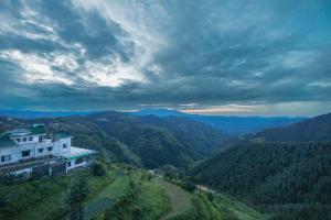shimla