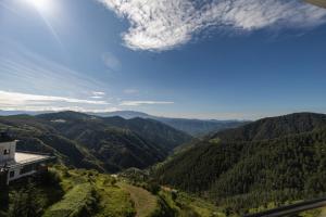 shimla