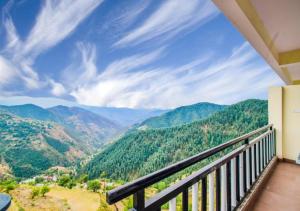 shimla