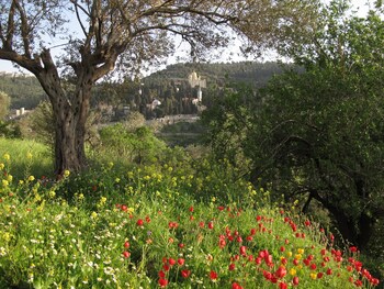 khan ein karem boutique hotel