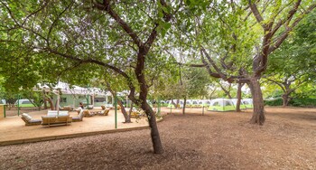 camping dafna by travel hotel chain