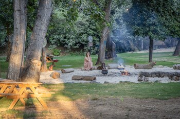 camping dafna by travel hotel chain