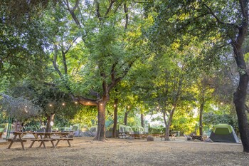 camping dafna by travel hotel chain