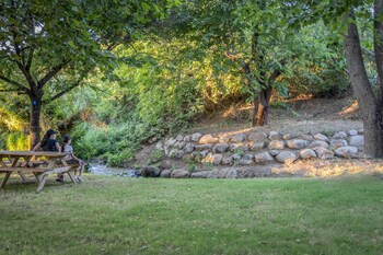 camping dafna by travel hotel chain