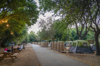 camping dafna by travel hotel chain