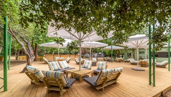 camping dafna by travel hotel chain